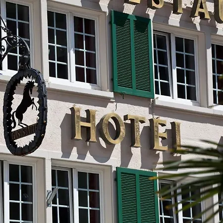 Rappen Am Muensterplatz Φράιμπουργκ