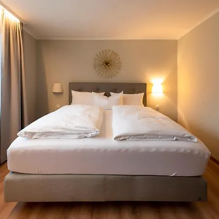 Rappen Am Munsterplatz